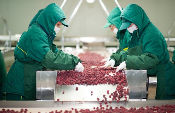 Bespovratna podrška prerađivačima, raspisan Javni poziv