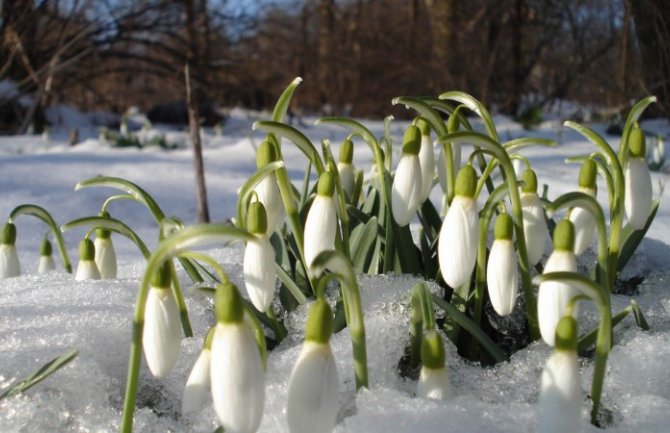Sjutra kiša, na sjeveru krajem dana i snijeg!