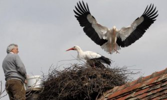 Kraj najljepše ljubavne priče: Klepetan je uginuo