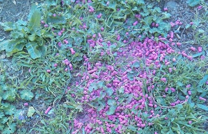 Nepoznato lice prosulo veću količinu mišomora na igralištu za djecu