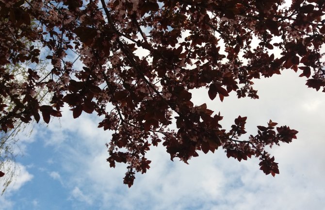 Prognoza za vikend: Pretežno sunčano, moguće slabe padavine