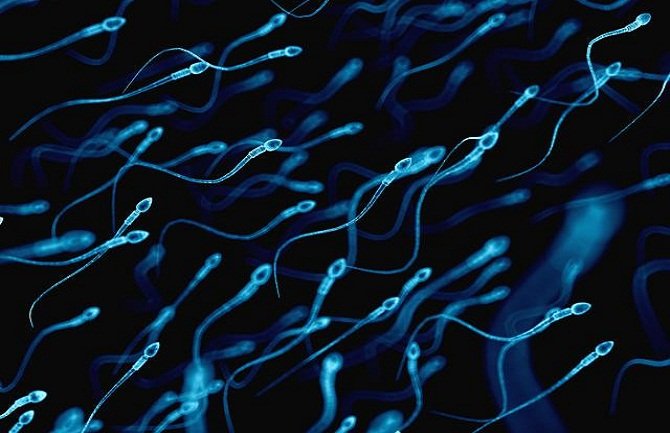 Oprez: Alergija na spermu zaista postoji i česta je pojava današnjice