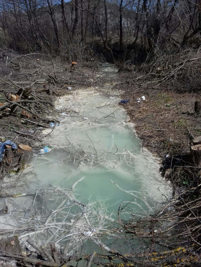 image00205c04ed8bbd53dfb8f545e7e45050bdd636a3c01fb35d218157bc097ca77d5d104V