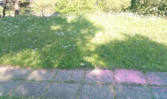 U parku iza stare zgrade Vlade bio prosut mišomor (FOTO)