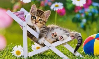 Evo kakvo nas vrijeme očekuje za dane vikenda 