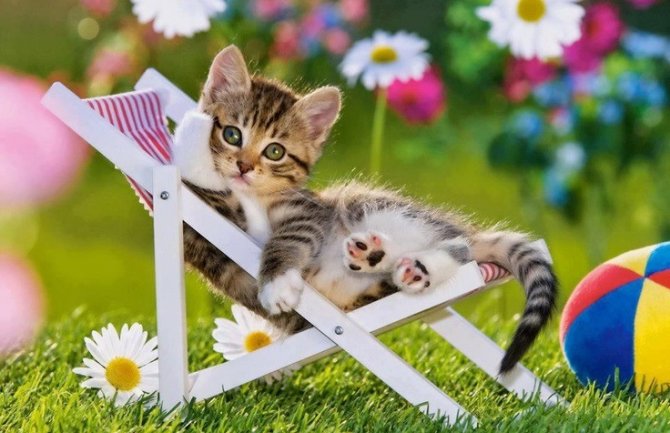 Evo kakvo nas vrijeme očekuje za dane vikenda 