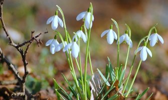 Danas oblačno sa sunčanim intervalima, do 18 stepeni