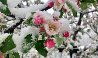  Na Žabljaku palo 26 centimetara snijega