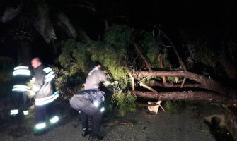 Jako nevrijeme u Herceg Novom: Oborena stabla, izlila se rijeka