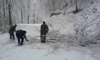 Nacionalni park Biogradska gora zatvoren za posjetioce zbog odrona