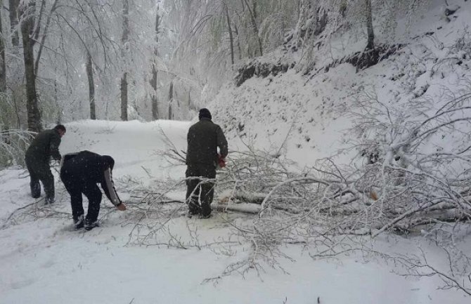 Nacionalni park Biogradska gora zatvoren za posjetioce zbog odrona