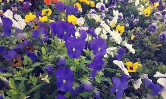 Evo kakvo vas vrijeme očekuje danas i sjutra