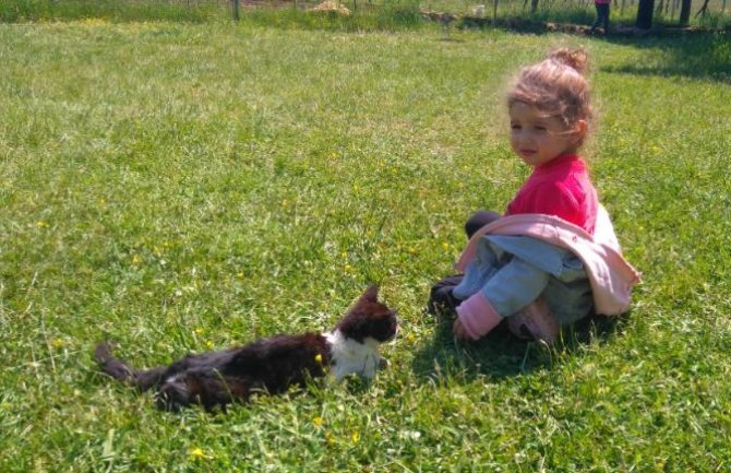 Podgorička urbana vrtna gerila