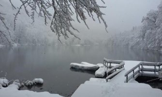 Biogradska gora od sjutra otvorena za posjetioce