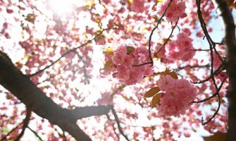 Evo kakvo vas vrijeme očekuje danas i sjutra