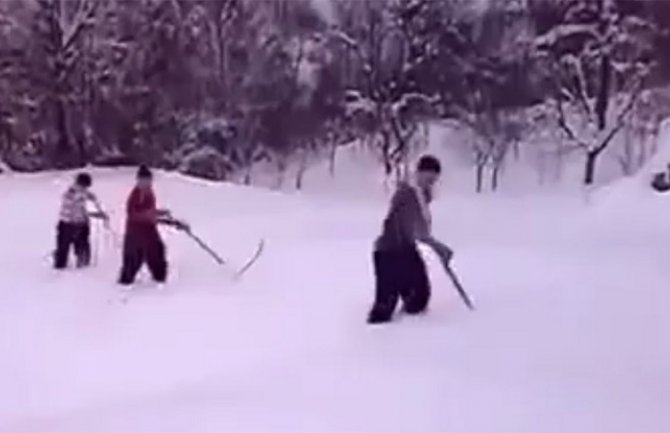 Bosanci kosili travu u snijegu do koljena (VIDEO)