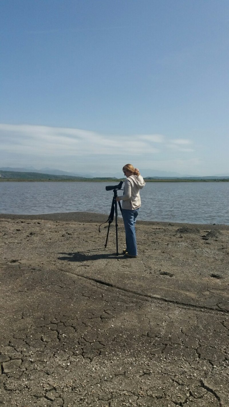 solanaposmatranjeptica