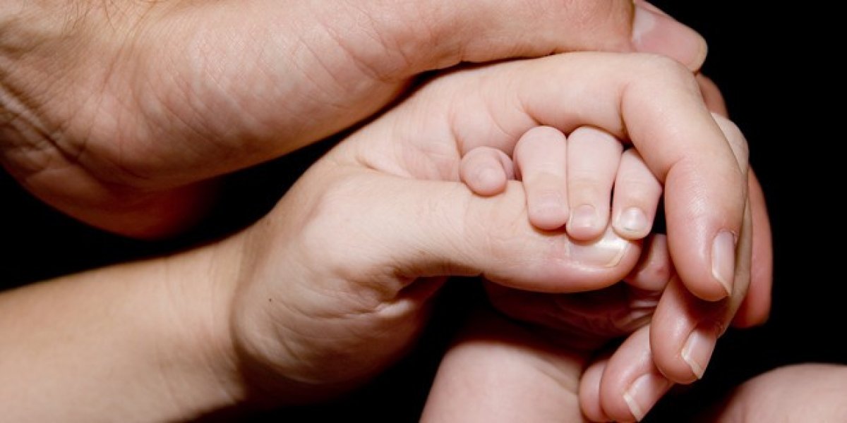 prirodnoroditeljstvo660x330