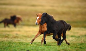 Popodne kiša, do 26 stepeni
