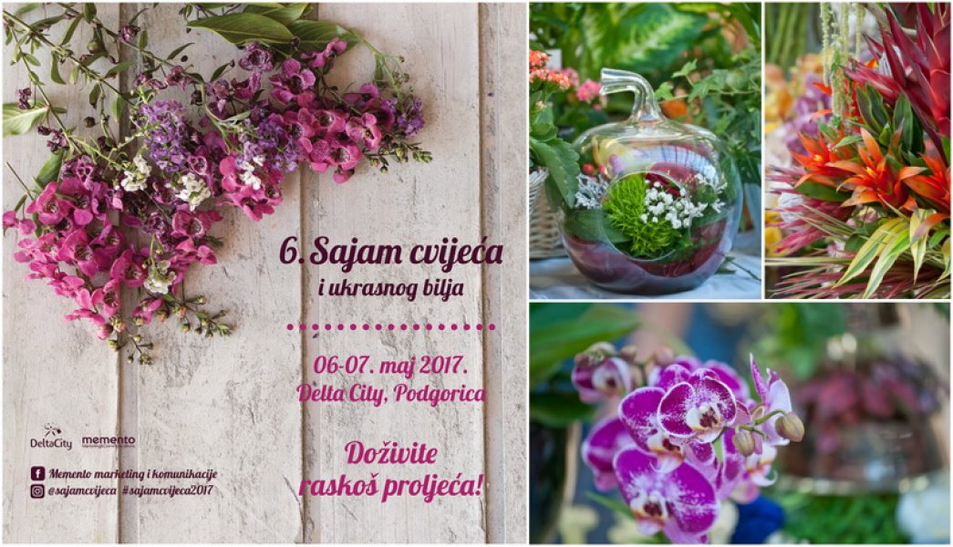 sajamcvijeca3