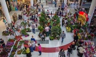 Raskoš proljeća u centralnom atrijumu Delte (FOTO)