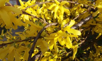 Danas sunčano, tokom noći moguća slaba kiša