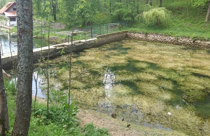 Pljevlja: Prolaznik spriječio tragediju u parku