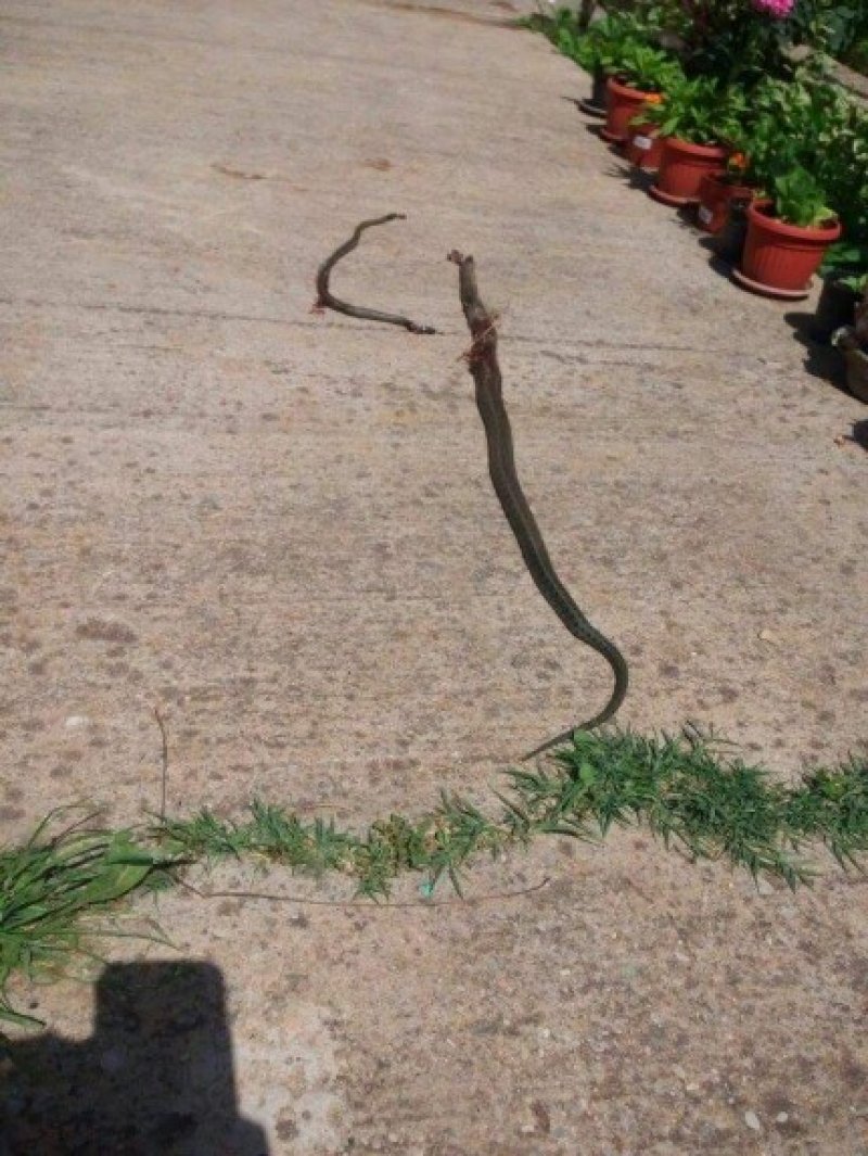 3cd44ba598bb6eaf3c50ccf333167626