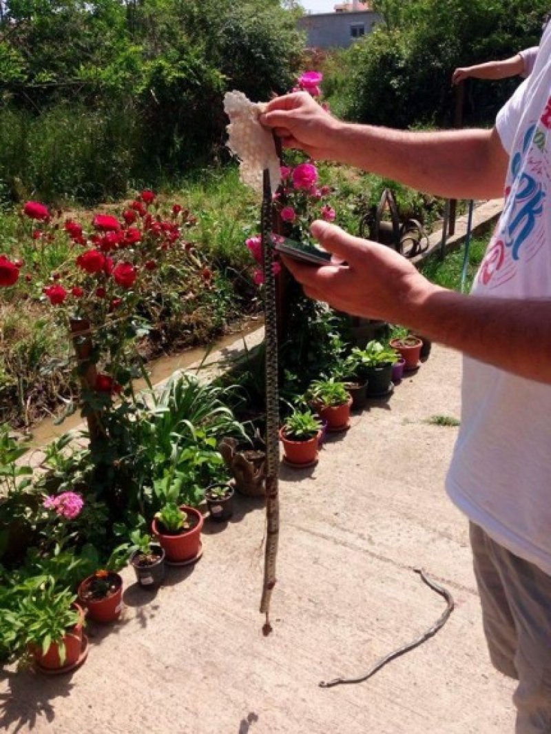 bee460ed96b52800a807c242aea8004e