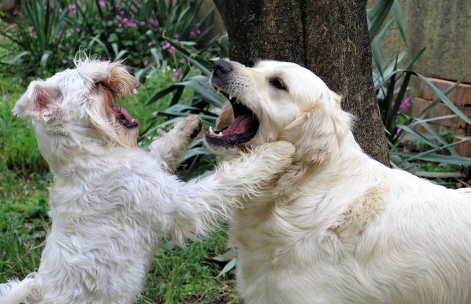 Sunčano, poslijepodne ponegdje kiša