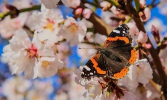 Danas pretežno sunčano i toplo
