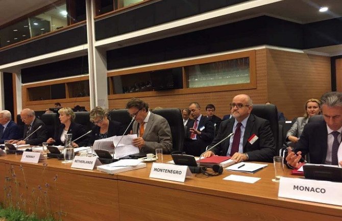 Izvore terorizma sasjeći u korijenu