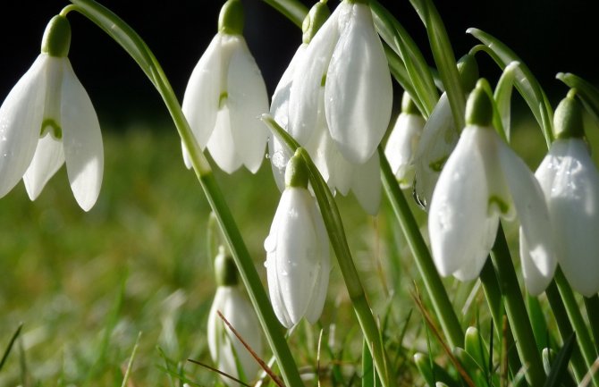 Evo kakvo vas vrijeme očekuje danas i sjutra