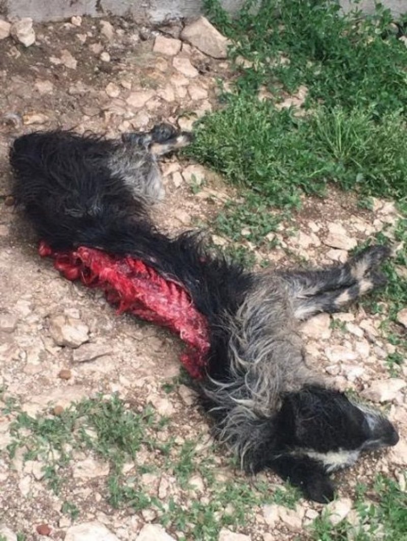 bfd704617c339da384ddad3c2fc5de08