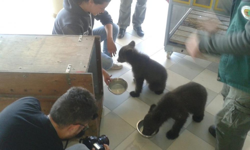 1892053515962936003806468059458810455083304n