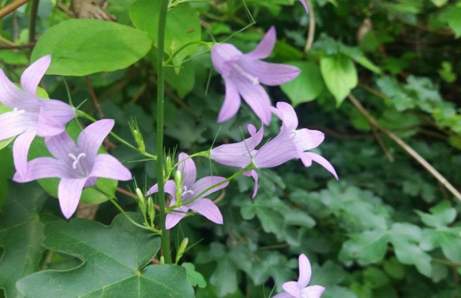 Danas umjereno oblačno sa sunčanim intervalima