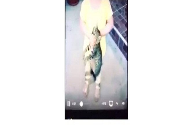 Majka podržava maloljetnu ćerku: Ona se tako igra sa životinjama