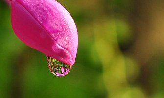 I danas kiša, do 34 stepena