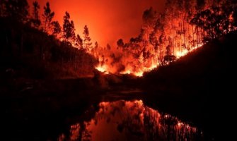 Portugal: Više od hiljadu i po vatrogasaca se i dalje bori sa šumskim požarima