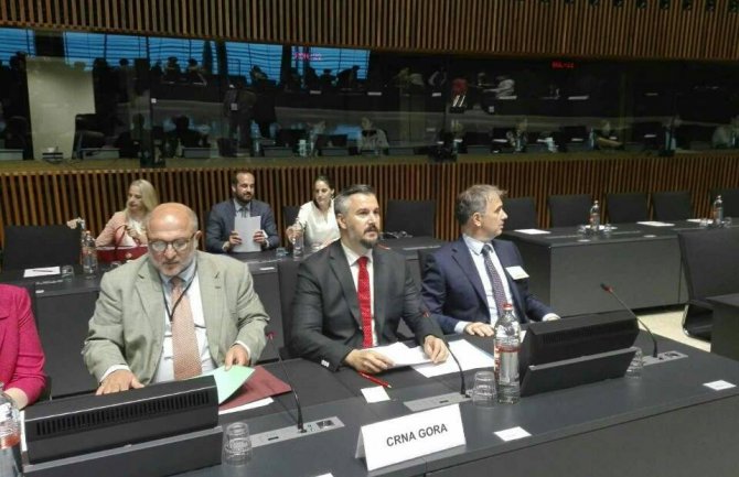 Crna Gora otvorila dva nova poglavlja, jedno zatvorila