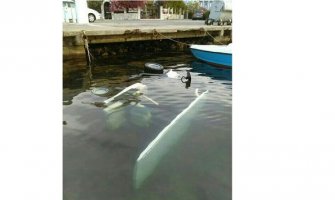 Porto Montenegro: Pijani Slovaci ukrali šatl i sa njim sjurili u more