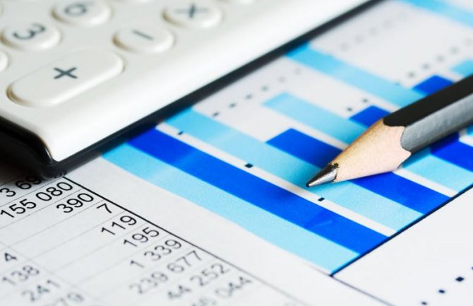 Sporne isplate preko blagajne, putni nalozi, javne nabavke