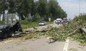 Nevrijeme odnijelo jedan život: Palo drvo i smrskalo ženu u autu (FOTO)