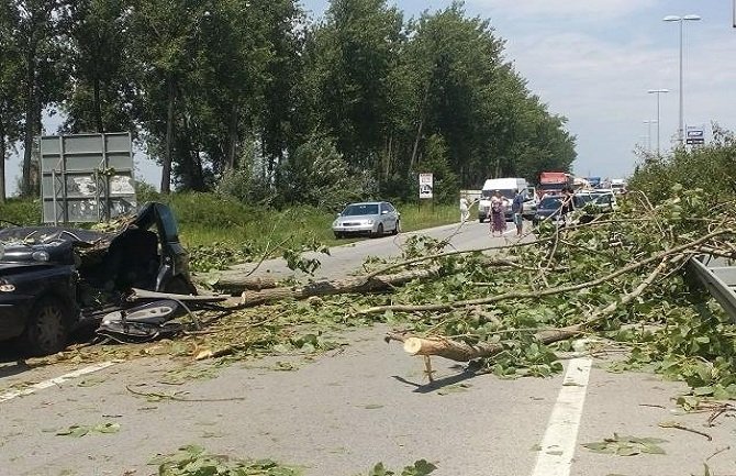 Nevrijeme odnijelo jedan život: Palo drvo i smrskalo ženu u autu (FOTO)