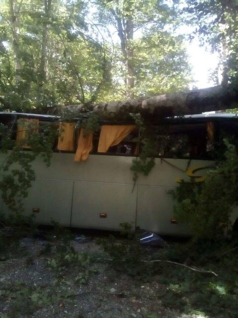 192476308540933414053411164788810800155730n