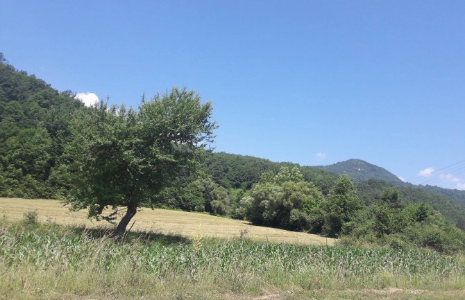 Sunčano i veoma toplo, do 38 stepeni