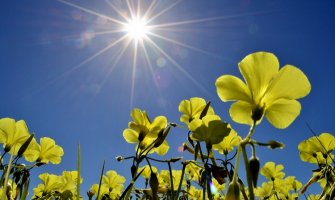 Danas sunčano, do 36 stepeni