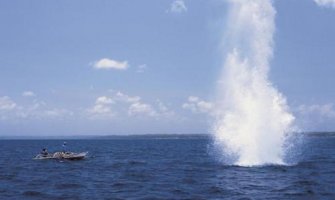 Krivično djelo držanja dinamita se ozbiljnije sankcioniše od upotrebe