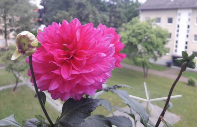 Poslijepodne razvedravanje, do 32 stepena