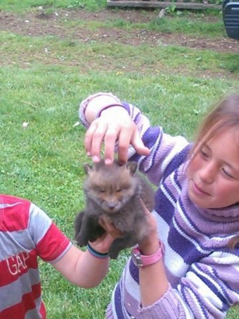 196922571447085195379346598311368n